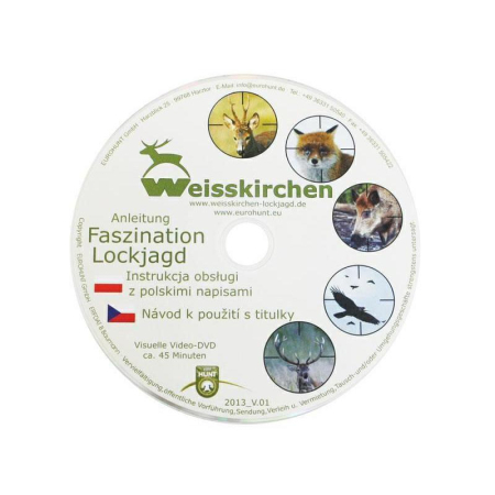 big_2017-636557691955831380-34869