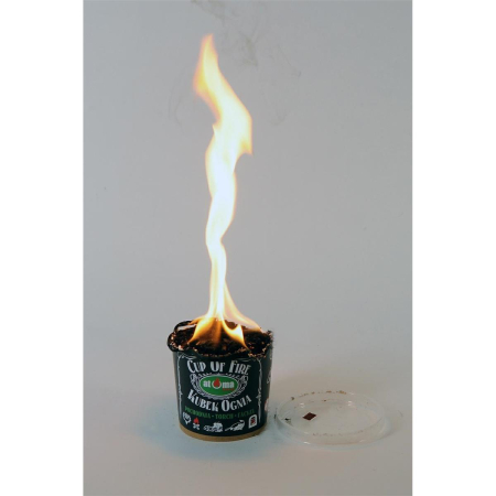 DSC_1435gotowe_Easy-Resize.com-38