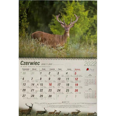4hunting_kalendarz_myśliwego_2-55357