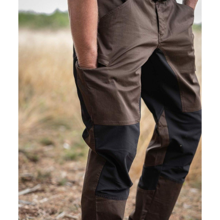 VX2037, LOKE (1)-58650